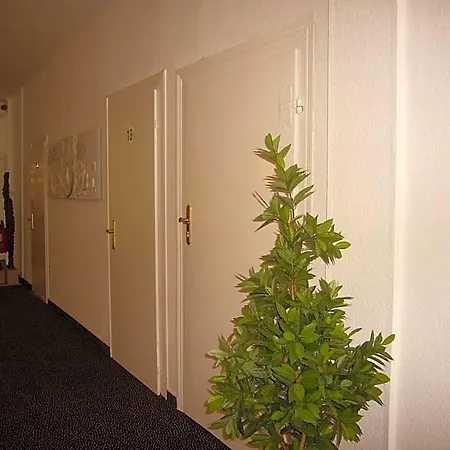 Hotel Deutsches Haus Munster 3*